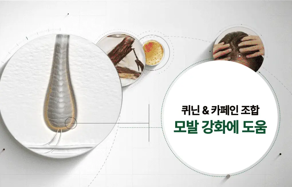 [두피활력&모발강화] 클로란 퀴닌 에델바이스 샴푸 400ml 상세페이지 14